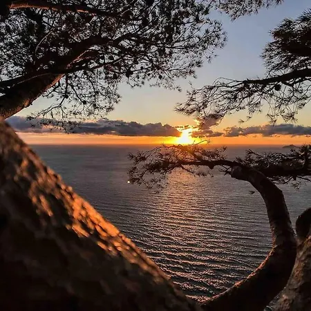 Lejlighed Mon Petit Cocon Au Bord De L'eau